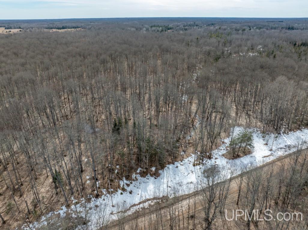 Tbd Tbd 26th Road Chatham, MI 49816 - Photo 8 of 15