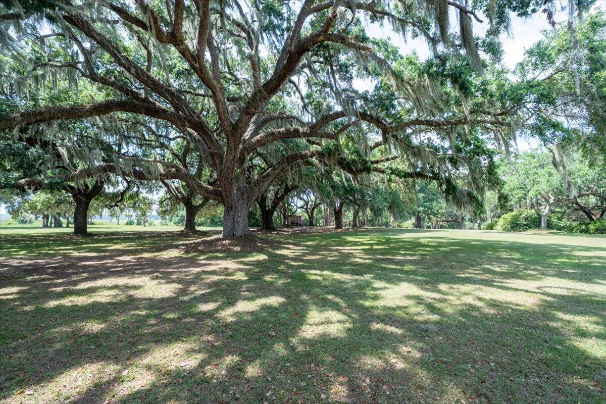 8488 Middleton Point Lane Edisto Island, SC 29438 - Photo 83 of 92 8488