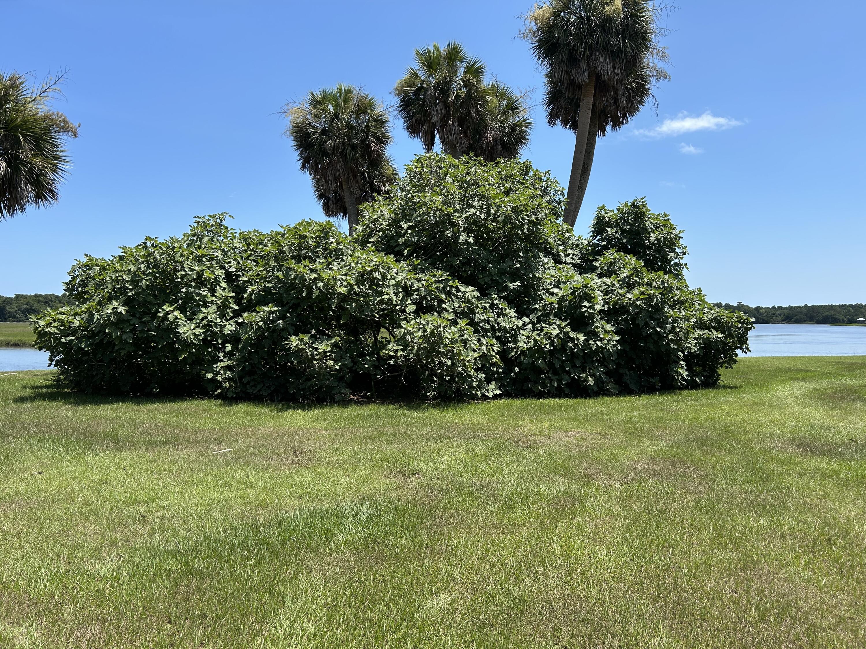 8488 Middleton Point Lane Edisto Island, SC 29438 - Photo 84 of 92 8488