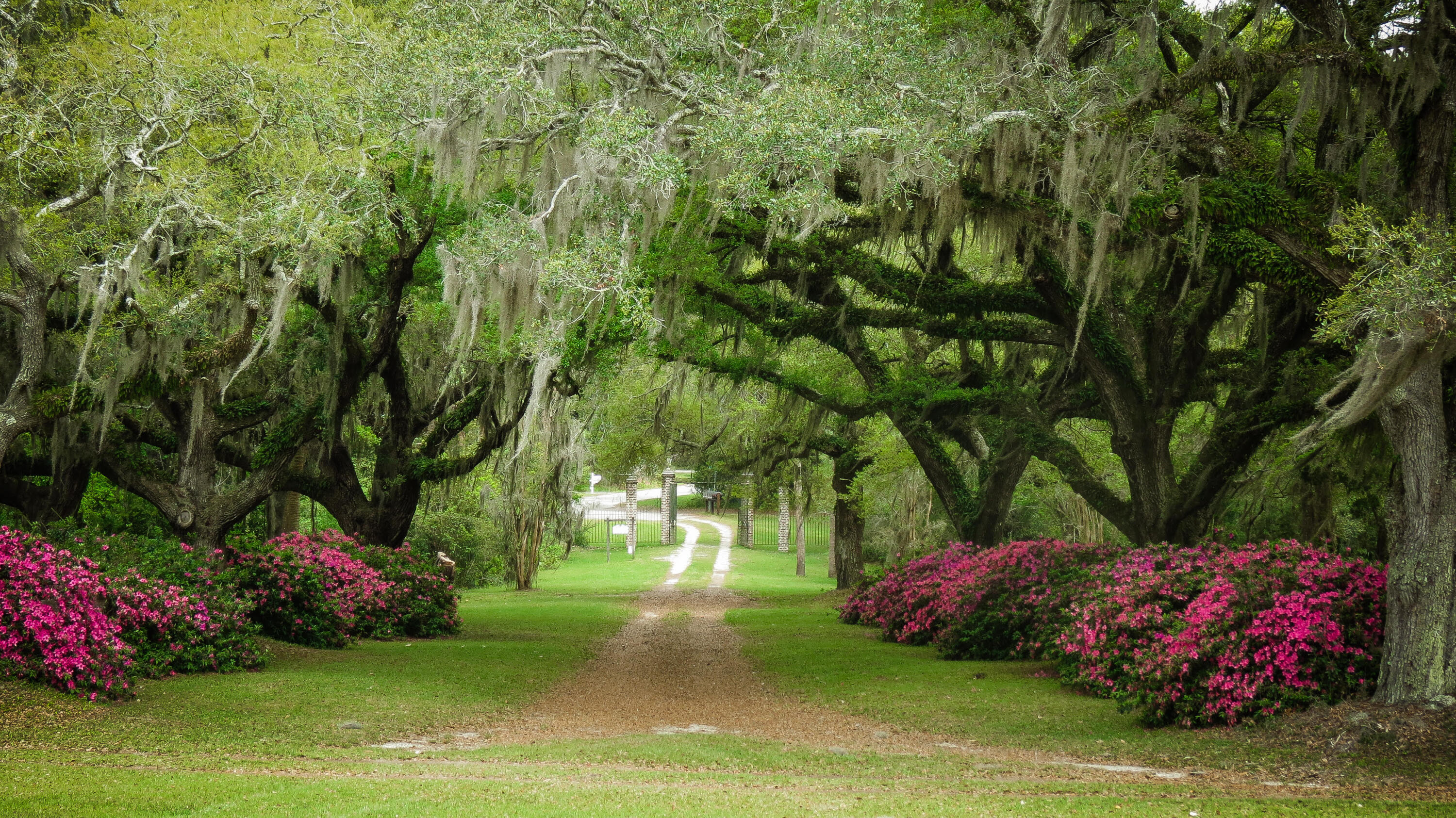 8488 Middleton Point Lane Edisto Island, SC 29438 - Photo 88 of 92 8488