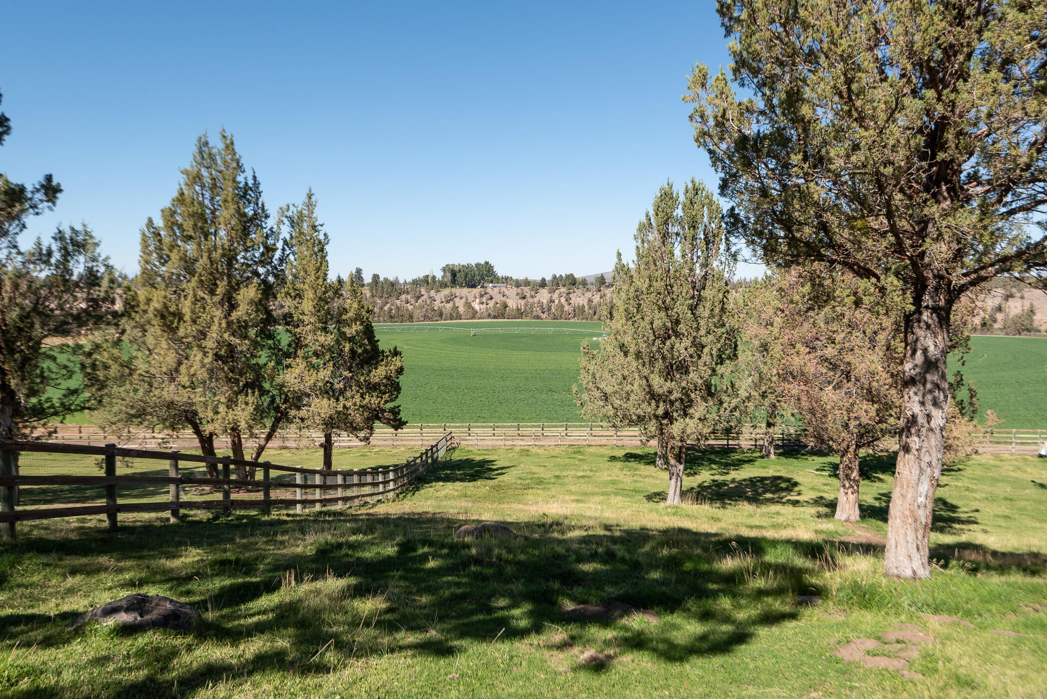 20240 Rock Canyon Road Bend, OR 97703 - Photo 35 of 48 34Front to field