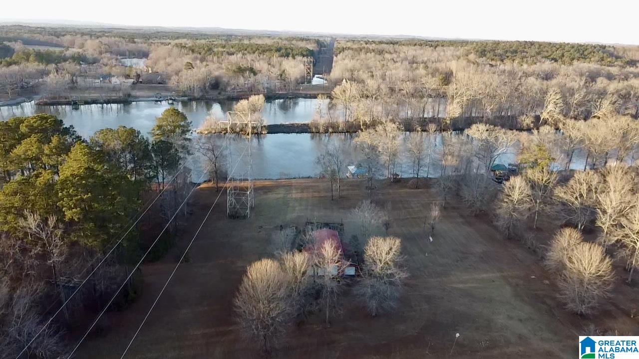 143 River Run Road Childersburg, AL 35044 - Photo 45 of 50