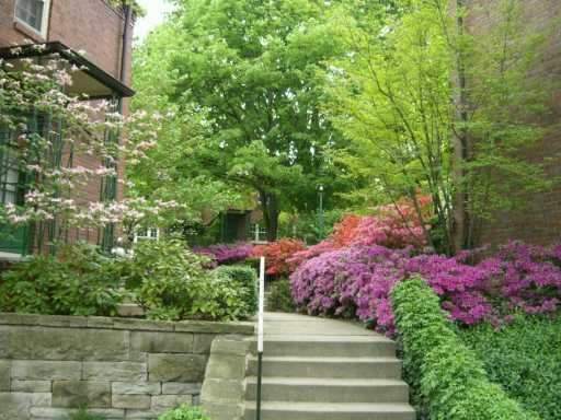 442 Sulgrave Road Pittsburgh, PA 15211 - Photo 8 of 8 Other.