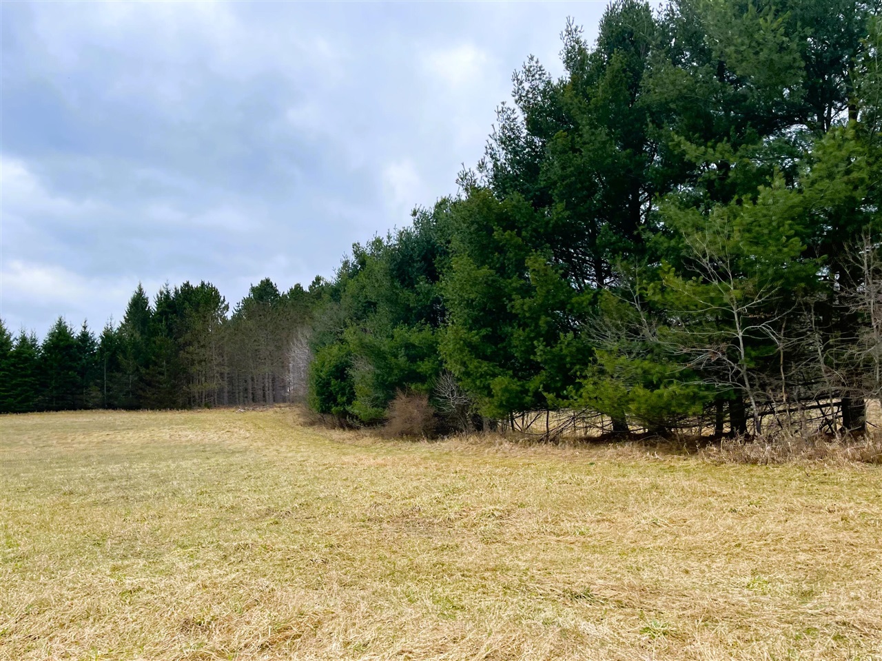 Eight Mile Road Kaleva, MI 49645 - Photo 5 of 14