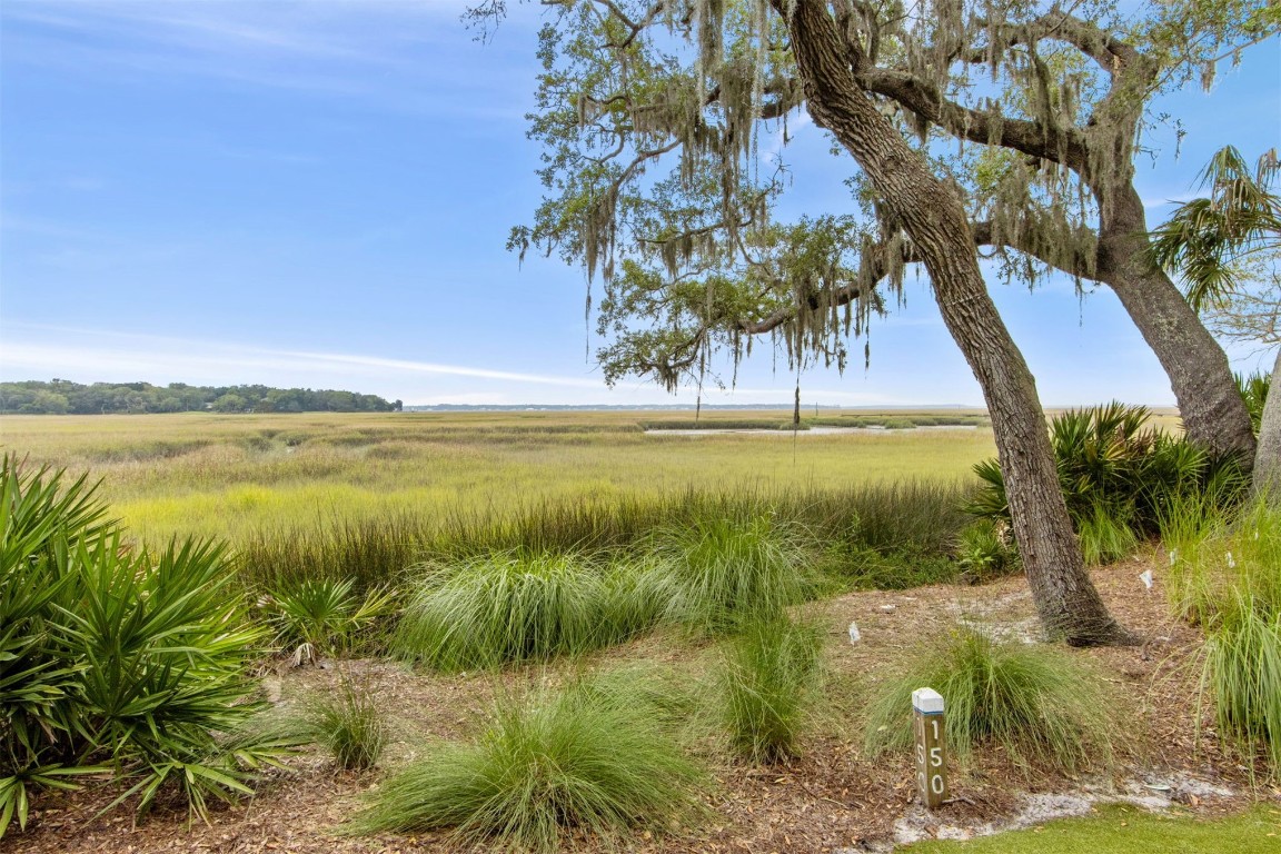 10 Sea Marsh Road Amelia Island, FL 32034 - Photo 46 of 78 a view of a lake from a yard