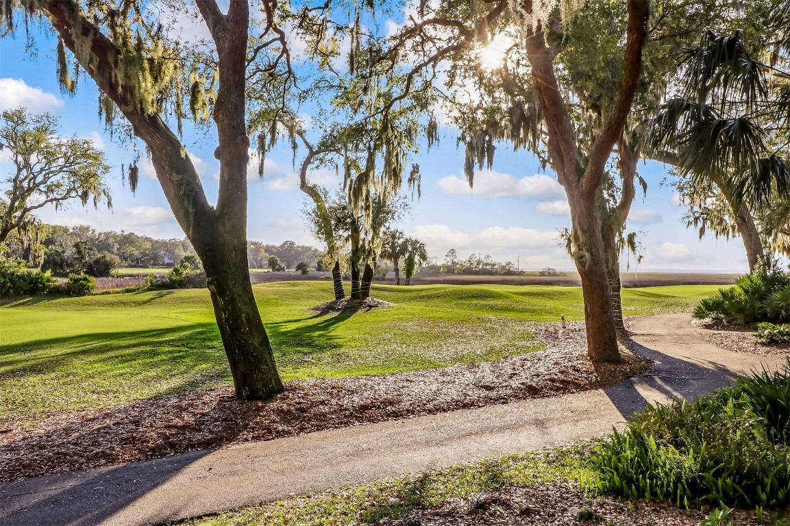 10 Sea Marsh Road Amelia Island, FL 32034 - Photo 78 of 78 a view of a yard with a tree