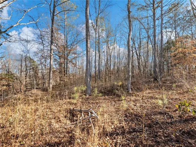 a view of a yard with trees