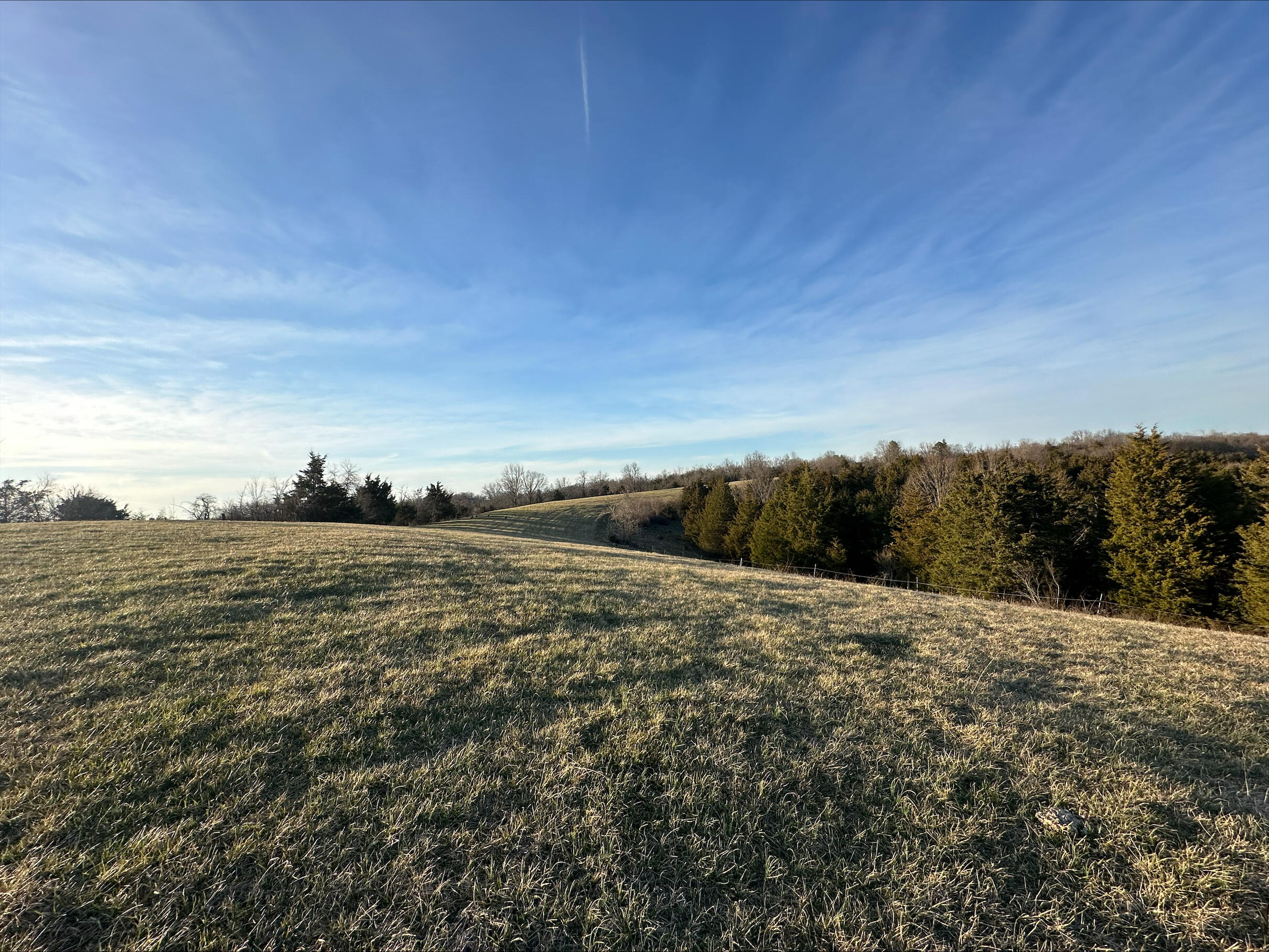 13489 Peach Grove Road California, KY 41007 - Photo 8 of 50 Gallery Image 8