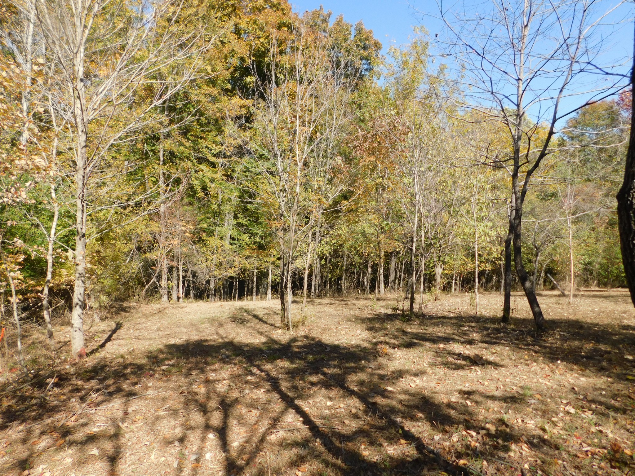 3739 Reed Road Indian Mound, TN 37079 - Photo 20 of 61 Gallery Image 20