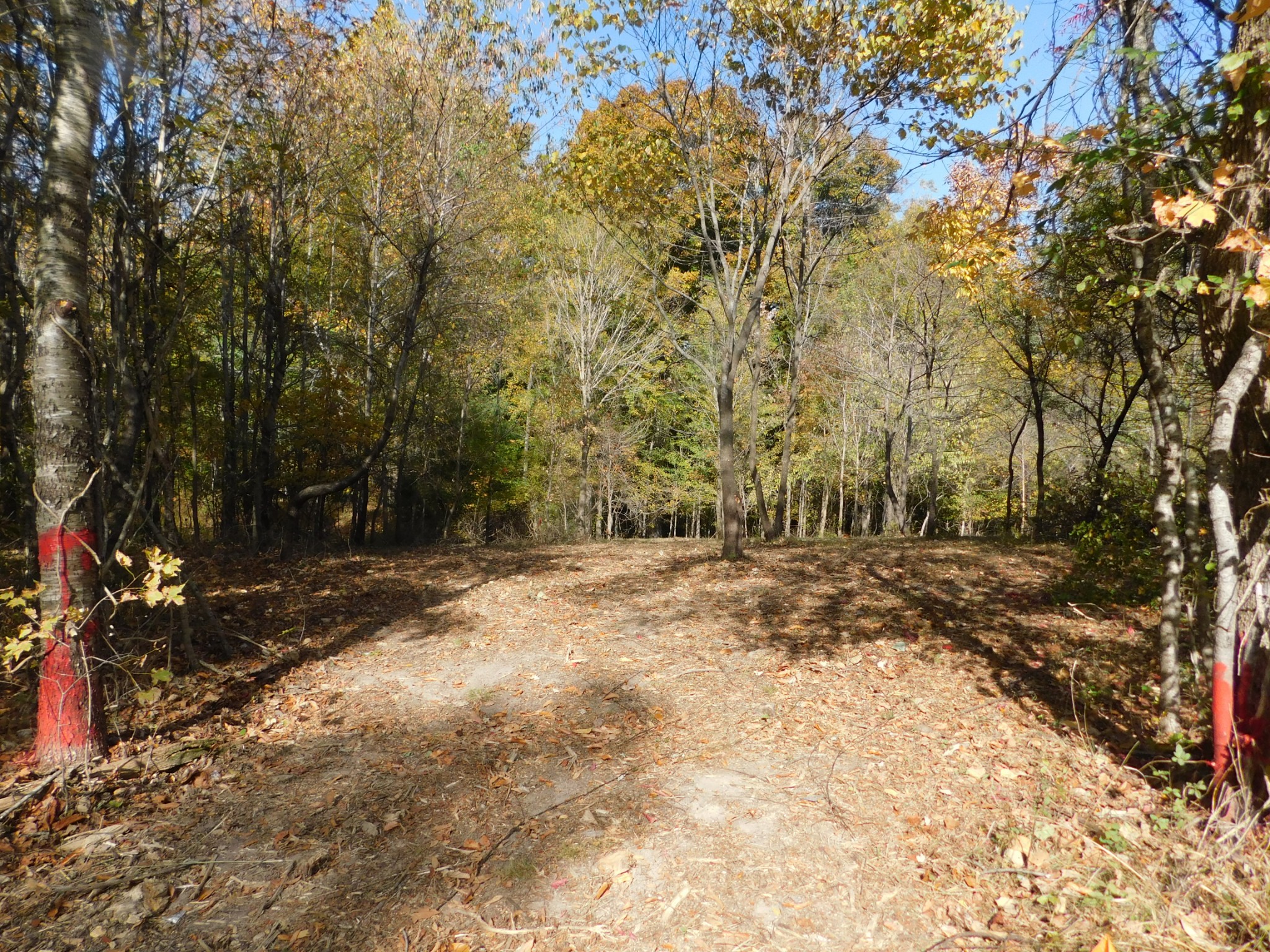 3739 Reed Road Indian Mound, TN 37079 - Photo 2 of 61 Gallery Image 2