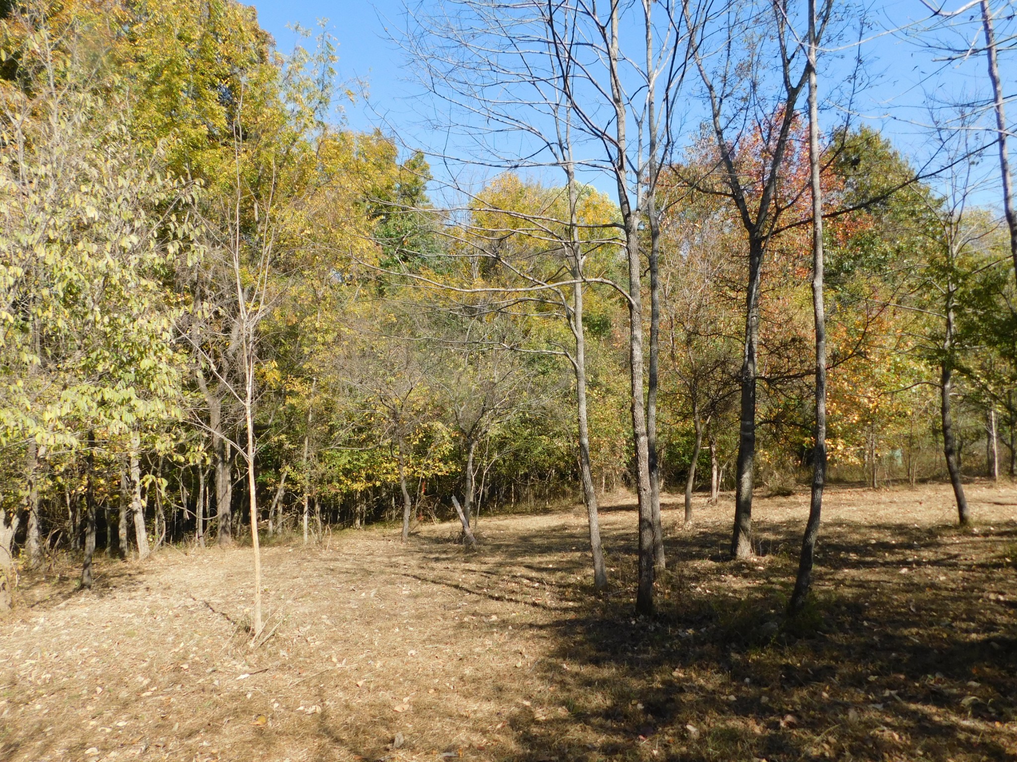 3739 Reed Road Indian Mound, TN 37079 - Photo 21 of 61 Gallery Image 21