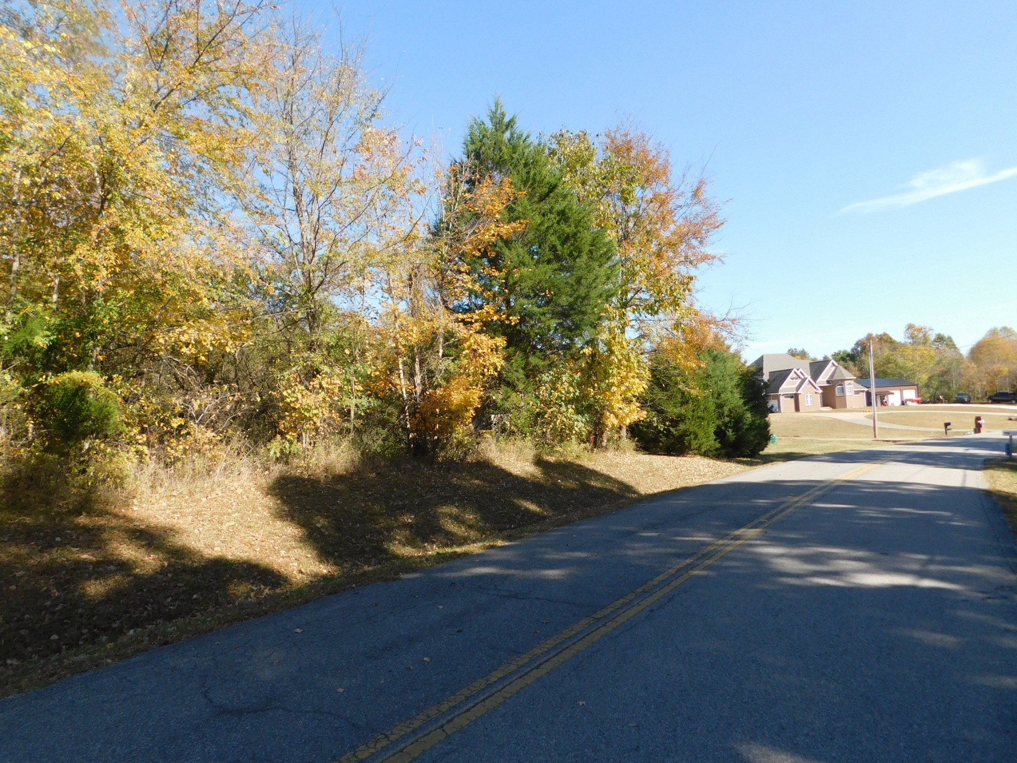 3739 Reed Road Indian Mound, TN 37079 - Photo 23 of 61 Gallery Image 23