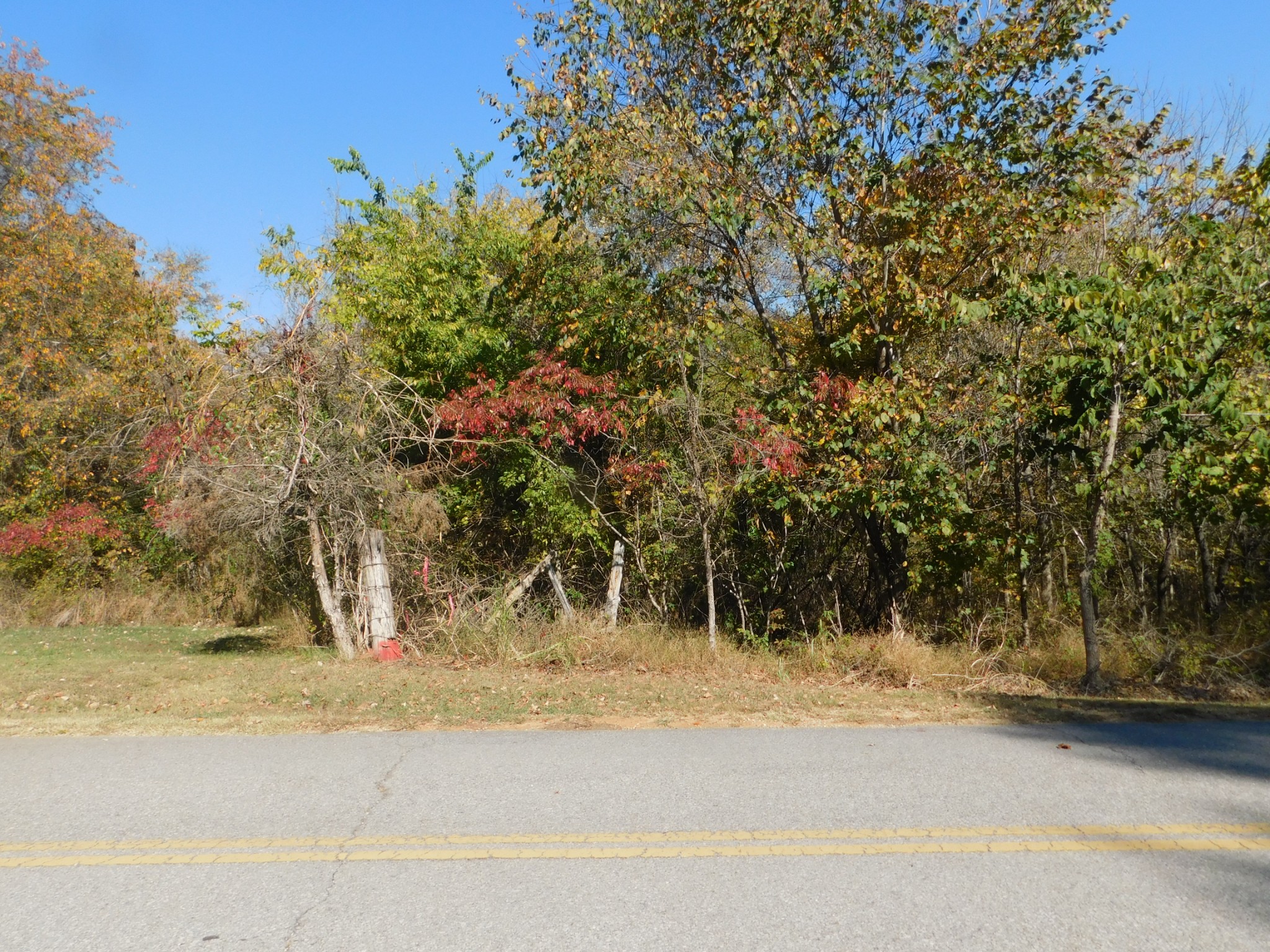 3739 Reed Road Indian Mound, TN 37079 - Photo 30 of 61 Gallery Image 30