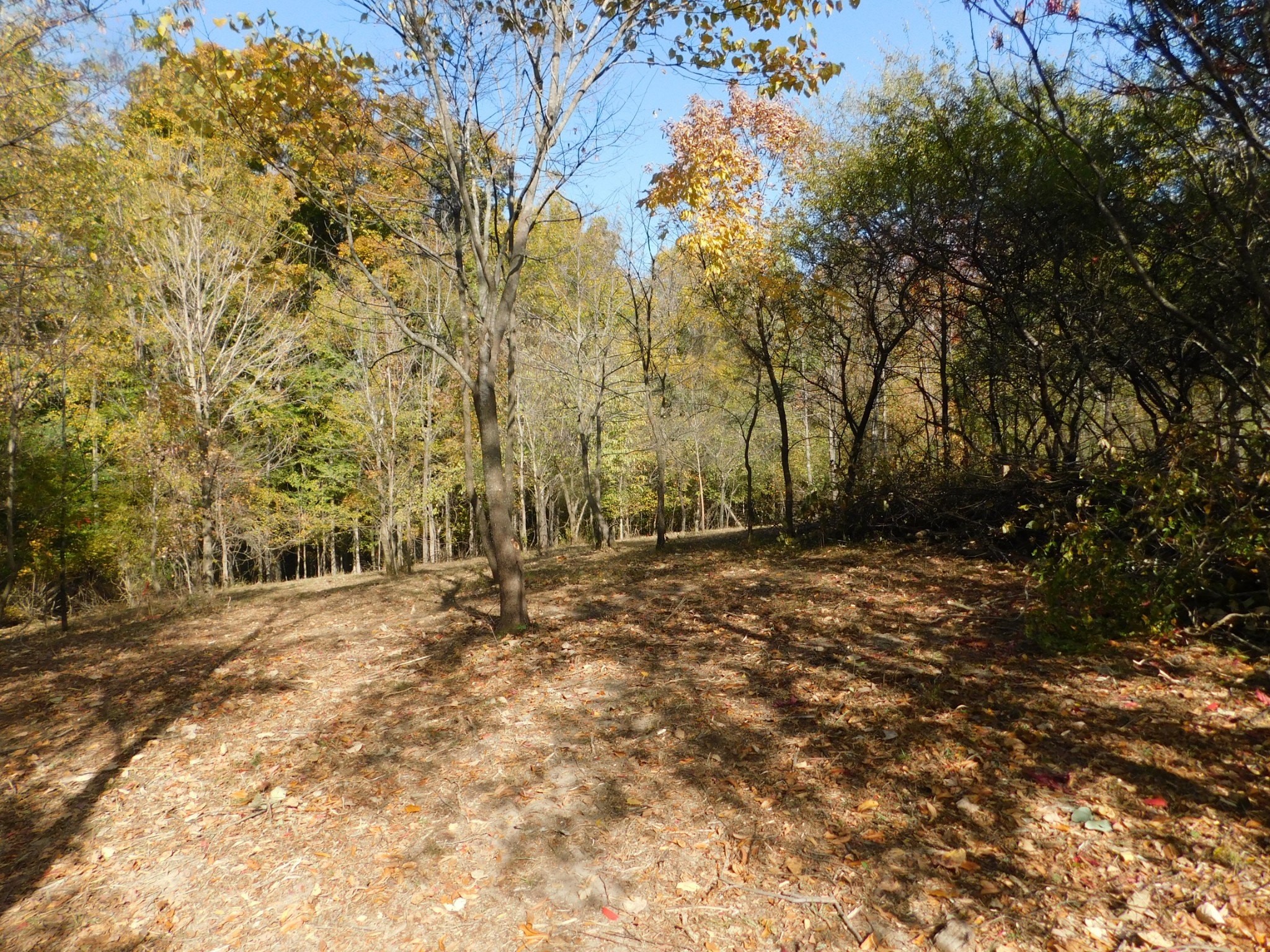 3739 Reed Road Indian Mound, TN 37079 - Photo 3 of 61 Gallery Image 3