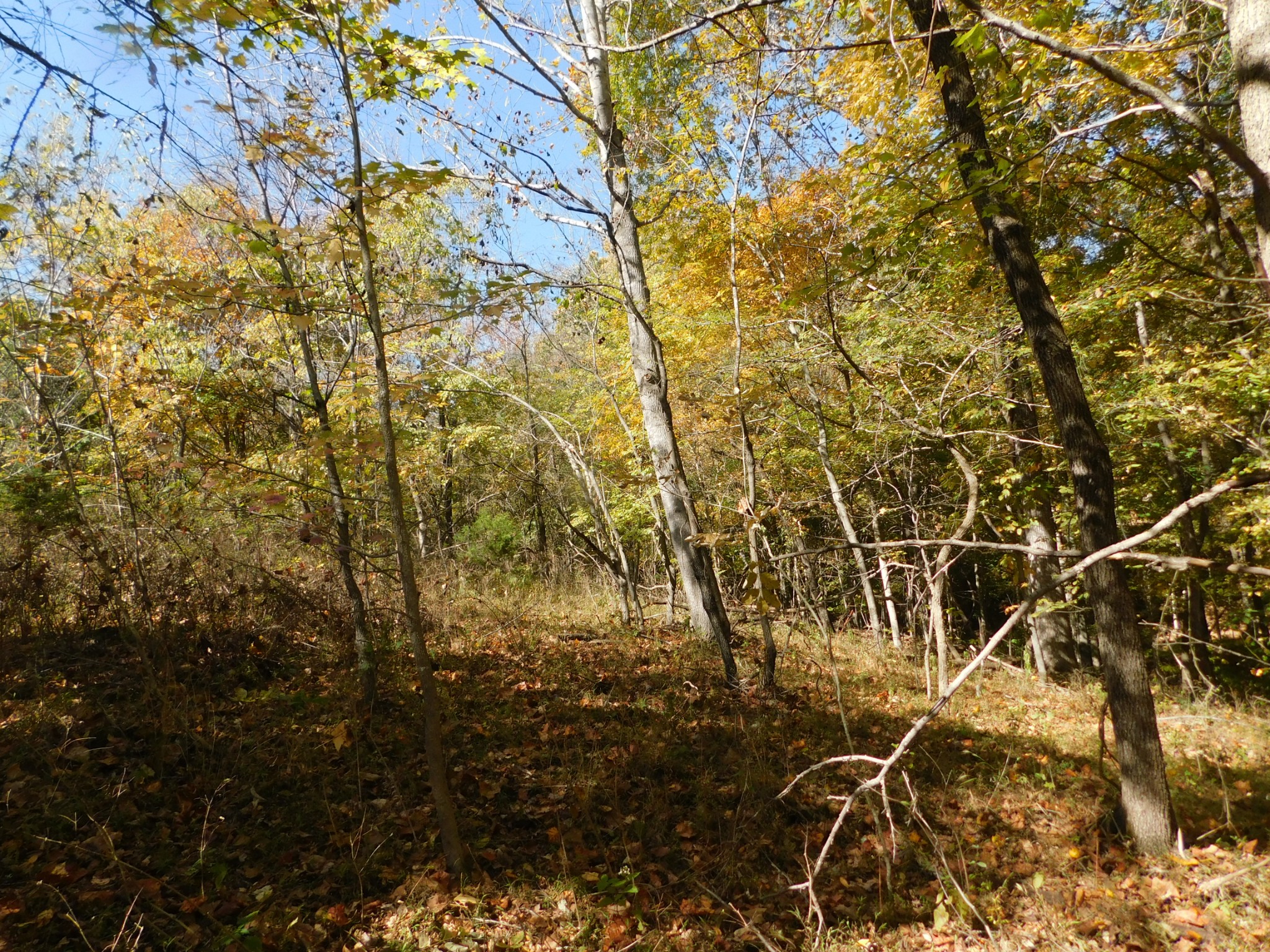 3739 Reed Road Indian Mound, TN 37079 - Photo 32 of 61 Gallery Image 32