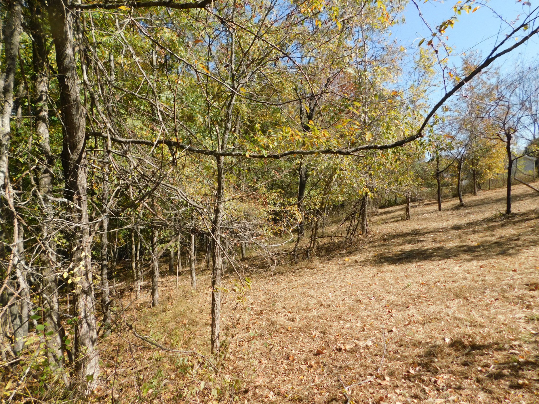 3739 Reed Road Indian Mound, TN 37079 - Photo 35 of 61 Gallery Image 35