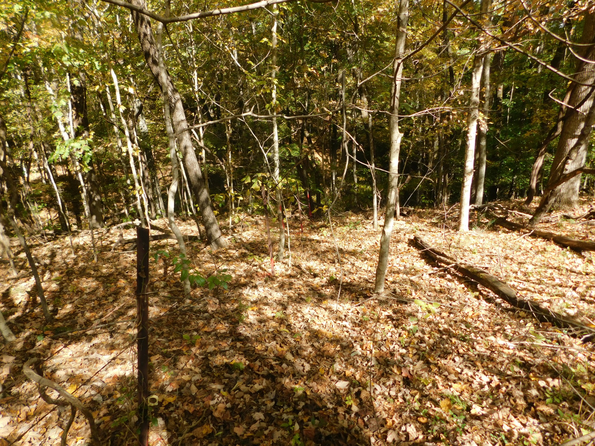 3739 Reed Road Indian Mound, TN 37079 - Photo 41 of 61 Gallery Image 41