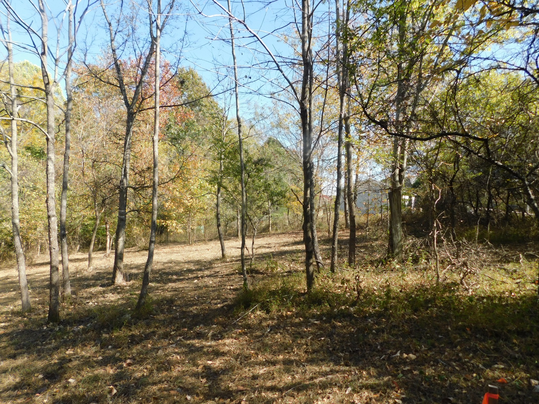 3739 Reed Road Indian Mound, TN 37079 - Photo 42 of 61 Gallery Image 42