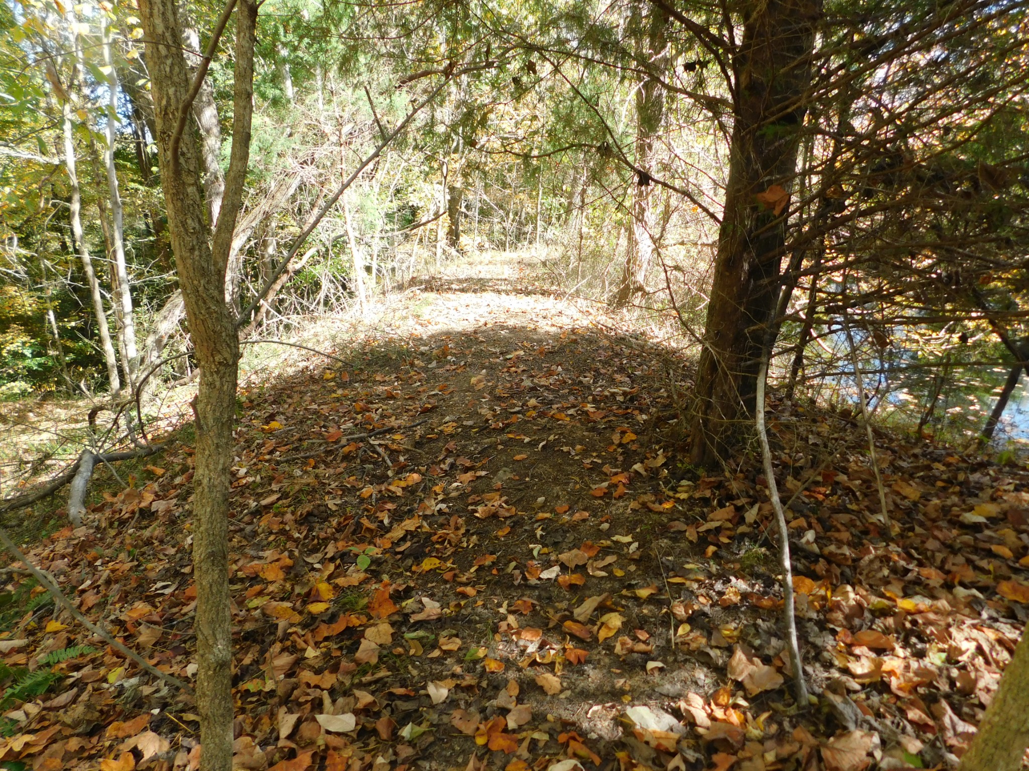 3739 Reed Road Indian Mound, TN 37079 - Photo 51 of 61 Gallery Image 51
