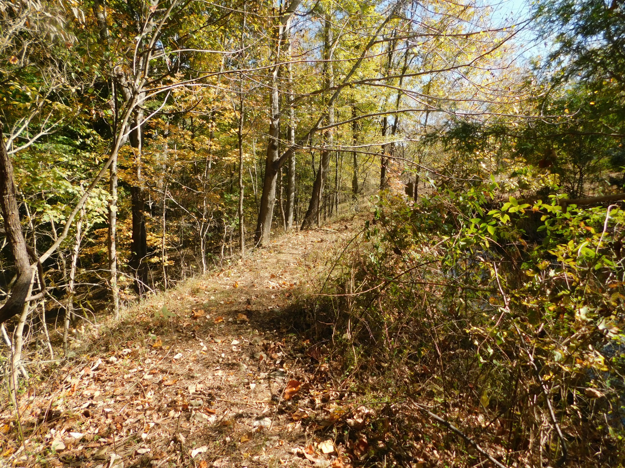 3739 Reed Road Indian Mound, TN 37079 - Photo 54 of 61 Gallery Image 54