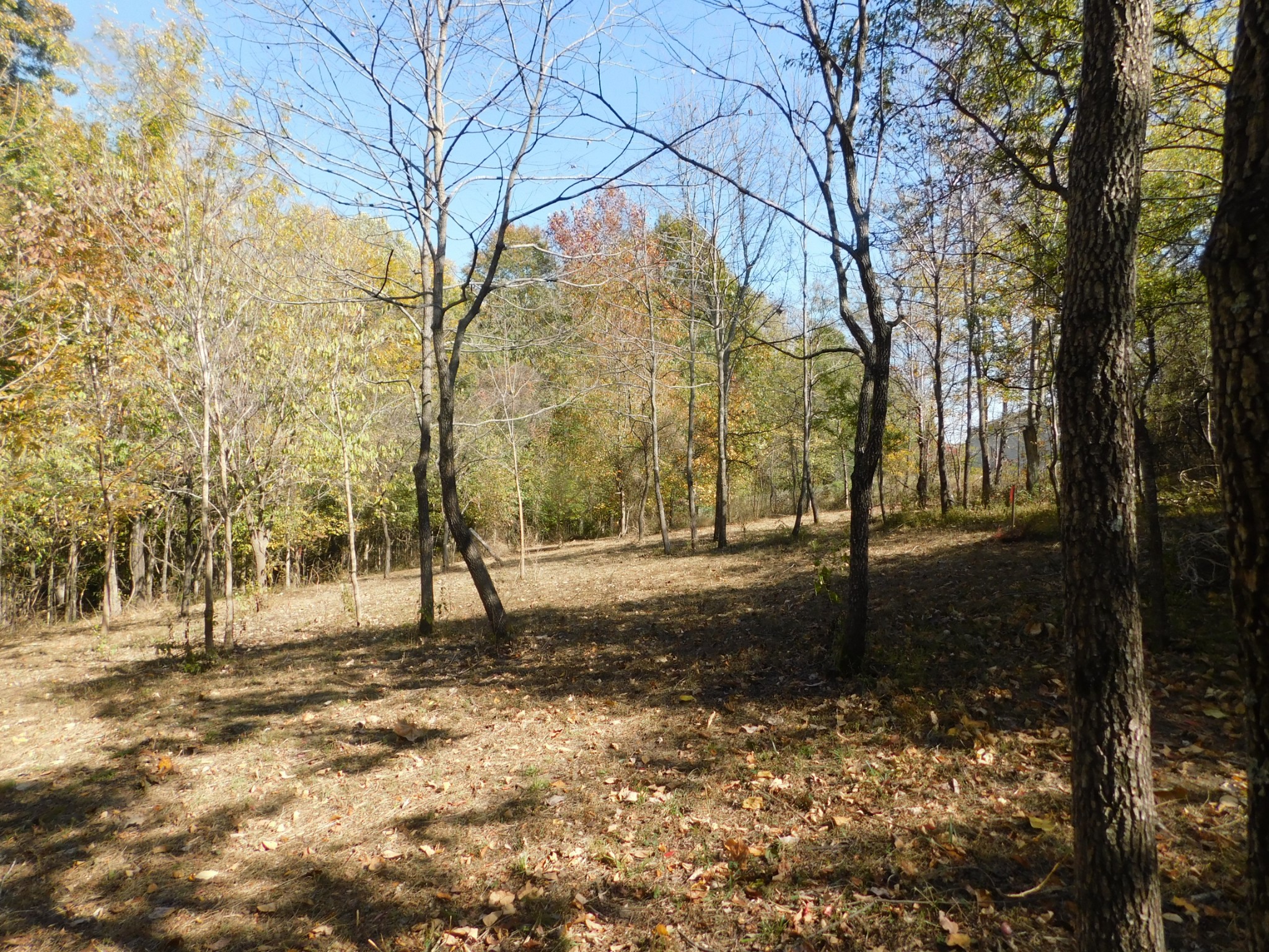 3739 Reed Road Indian Mound, TN 37079 - Photo 6 of 61 Gallery Image 6