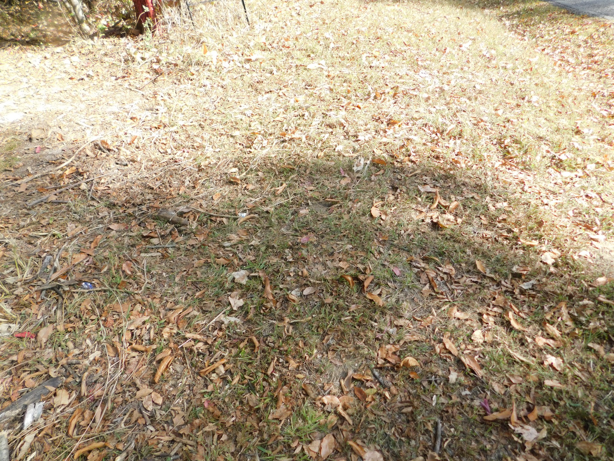 3739 Reed Road Indian Mound, TN 37079 - Photo 7 of 61 Gallery Image 7
