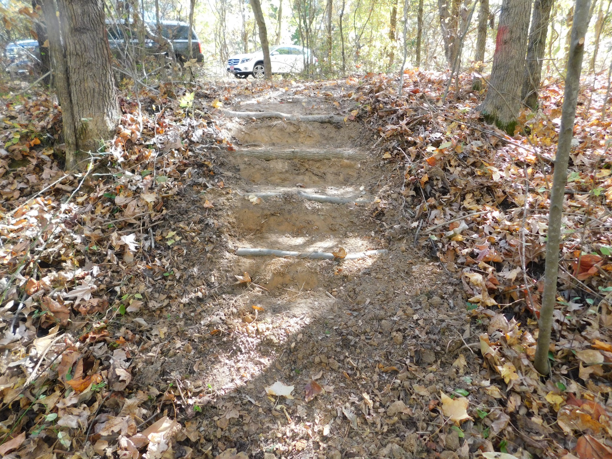 3739 Reed Road Indian Mound, TN 37079 - Photo 8 of 61 Gallery Image 8