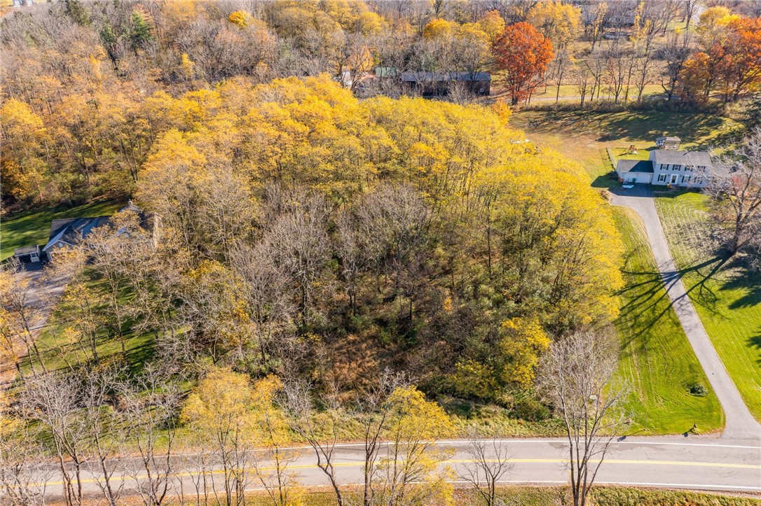 0 Rabbit Run Road Bloomfield, NY 14469 - Photo 11 of 15