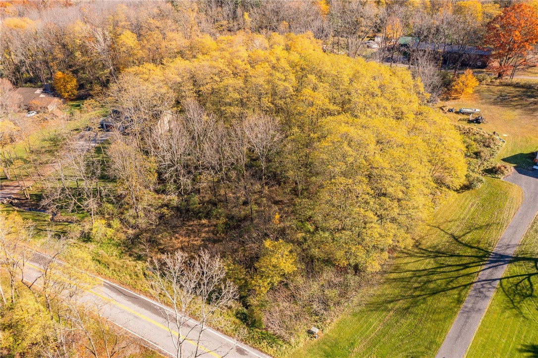 0 Rabbit Run Road Bloomfield, NY 14469 - Photo 12 of 15