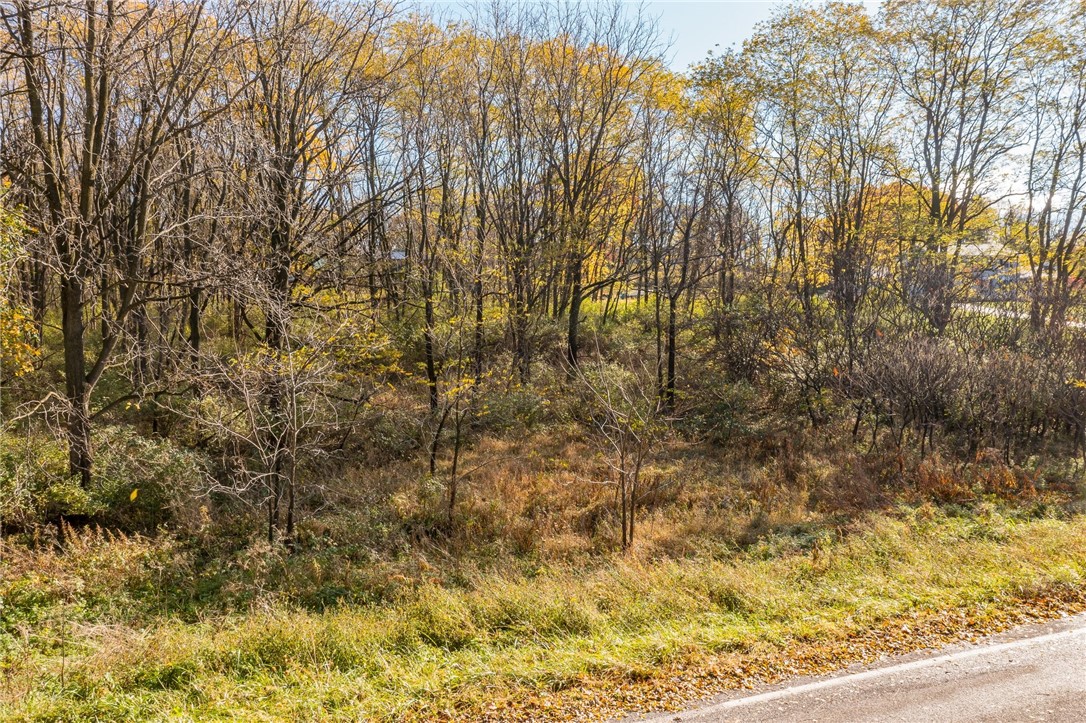 0 Rabbit Run Road Bloomfield, NY 14469 - Photo 3 of 15