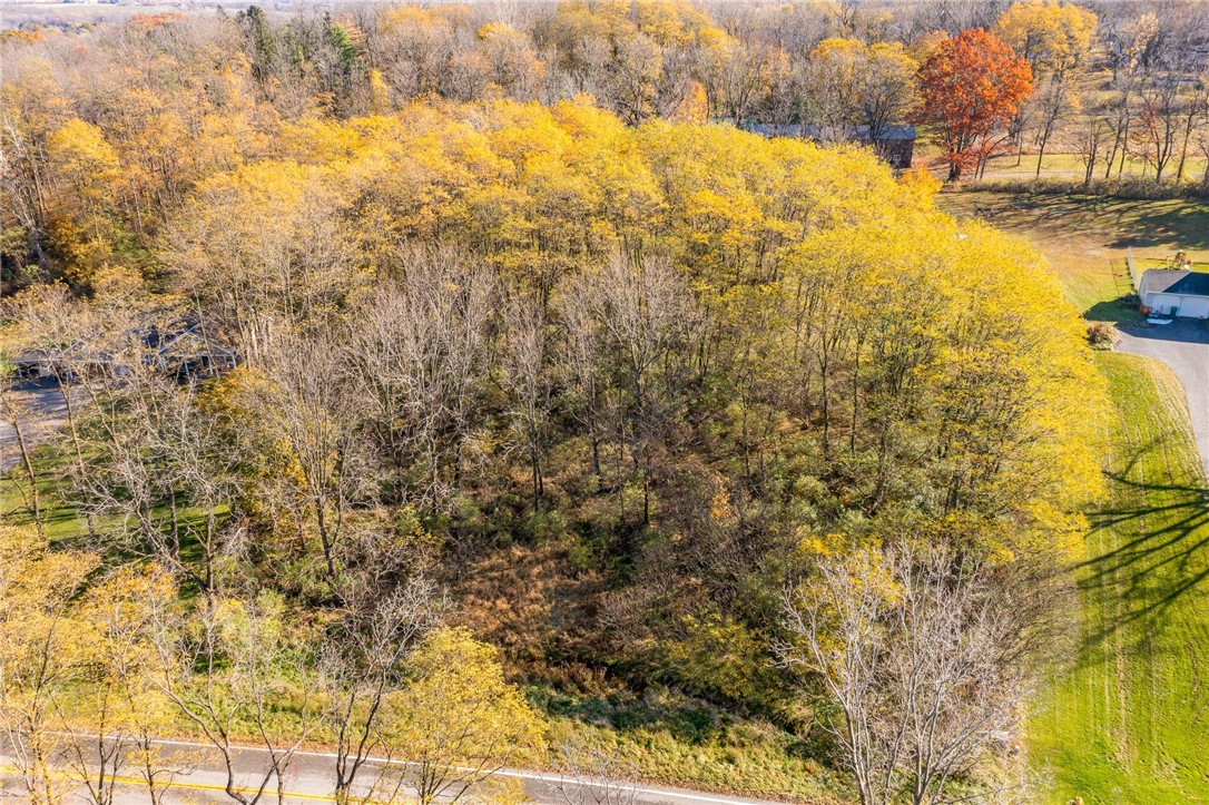 0 Rabbit Run Road Bloomfield, NY 14469 - Photo 5 of 15