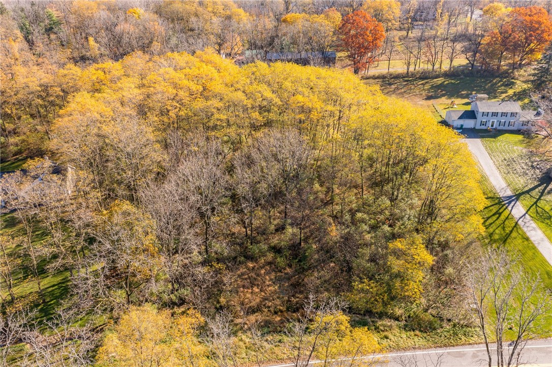 0 Rabbit Run Road Bloomfield, NY 14469 - Photo 6 of 15