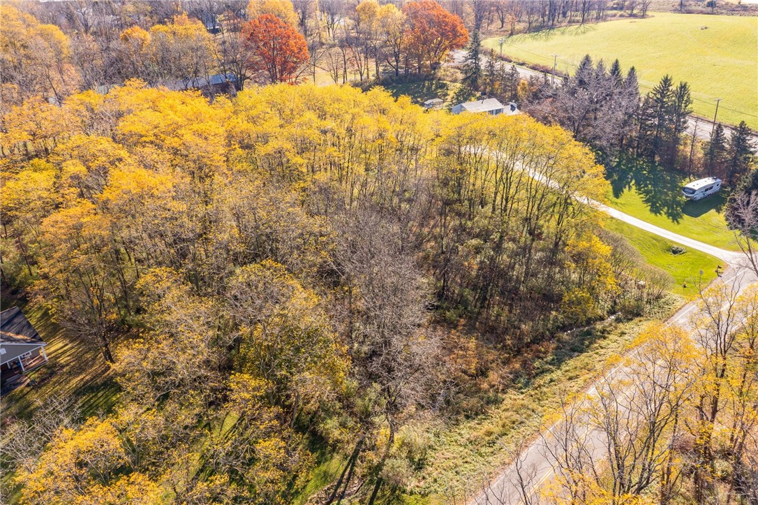 0 Rabbit Run Road Bloomfield, NY 14469 - Photo 7 of 15