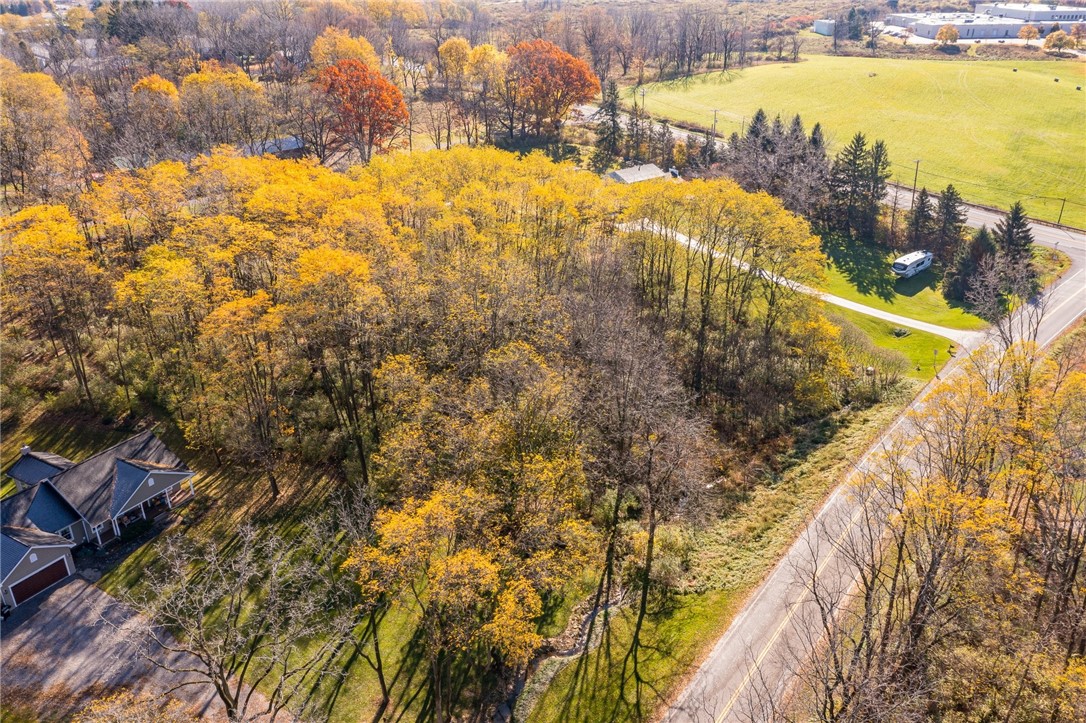 0 Rabbit Run Road Bloomfield, NY 14469 - Photo 9 of 15