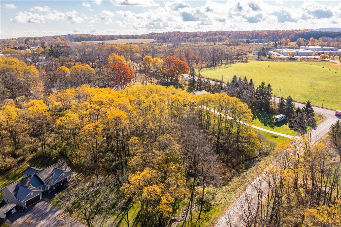 0 Rabbit Run Road Bloomfield, NY 14469 - Photo 10 of 15