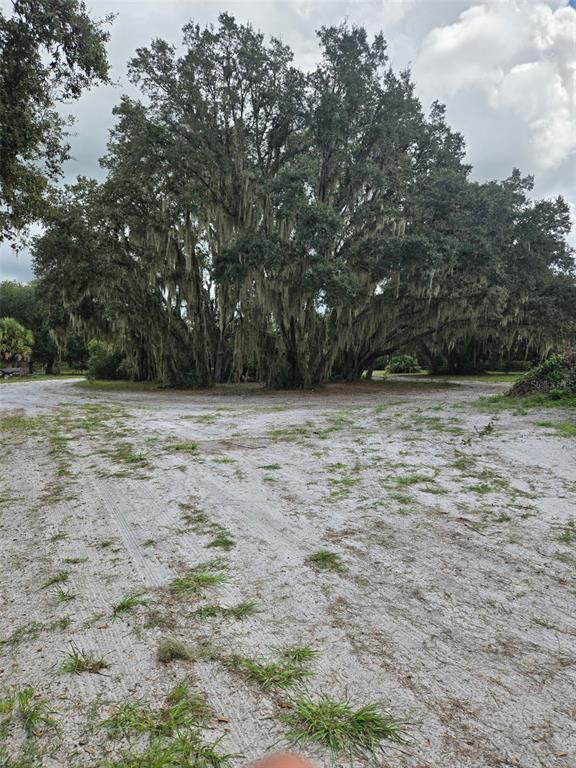 885 Lake Marian Road Kenansville, FL 34739 - Photo 3 of 11 a view of a green field