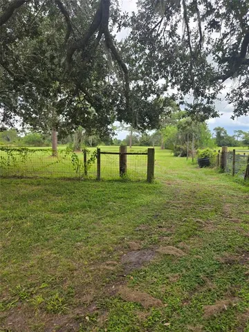 a view of a park with large trees