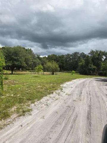 a view of a field with an ocean beach