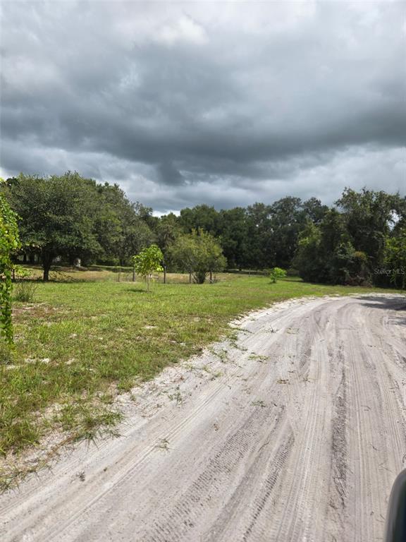 885 Lake Marian Road Kenansville, FL 34739 - Photo 5 of 11 a view of a field with an ocean beach