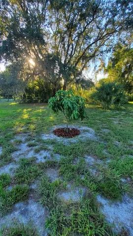 a big yard with lots of green space and deers