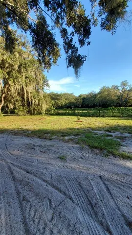 a view of a water pond with green yard