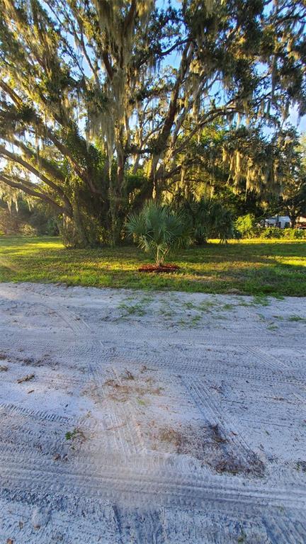 885 Lake Marian Road Kenansville, FL 34739 - Photo 10 of 11 a view of a yard