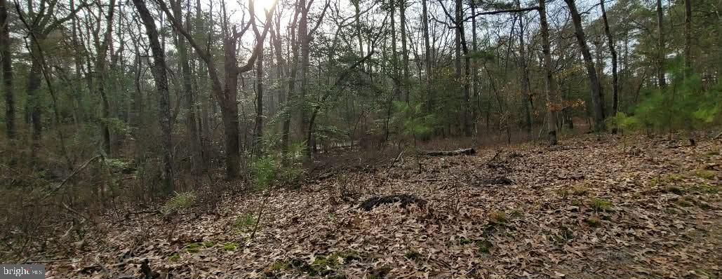 6020 Catchpenny Road Quantico, MD 21856 - Photo 2 of 7 a view of a forest with trees in the background