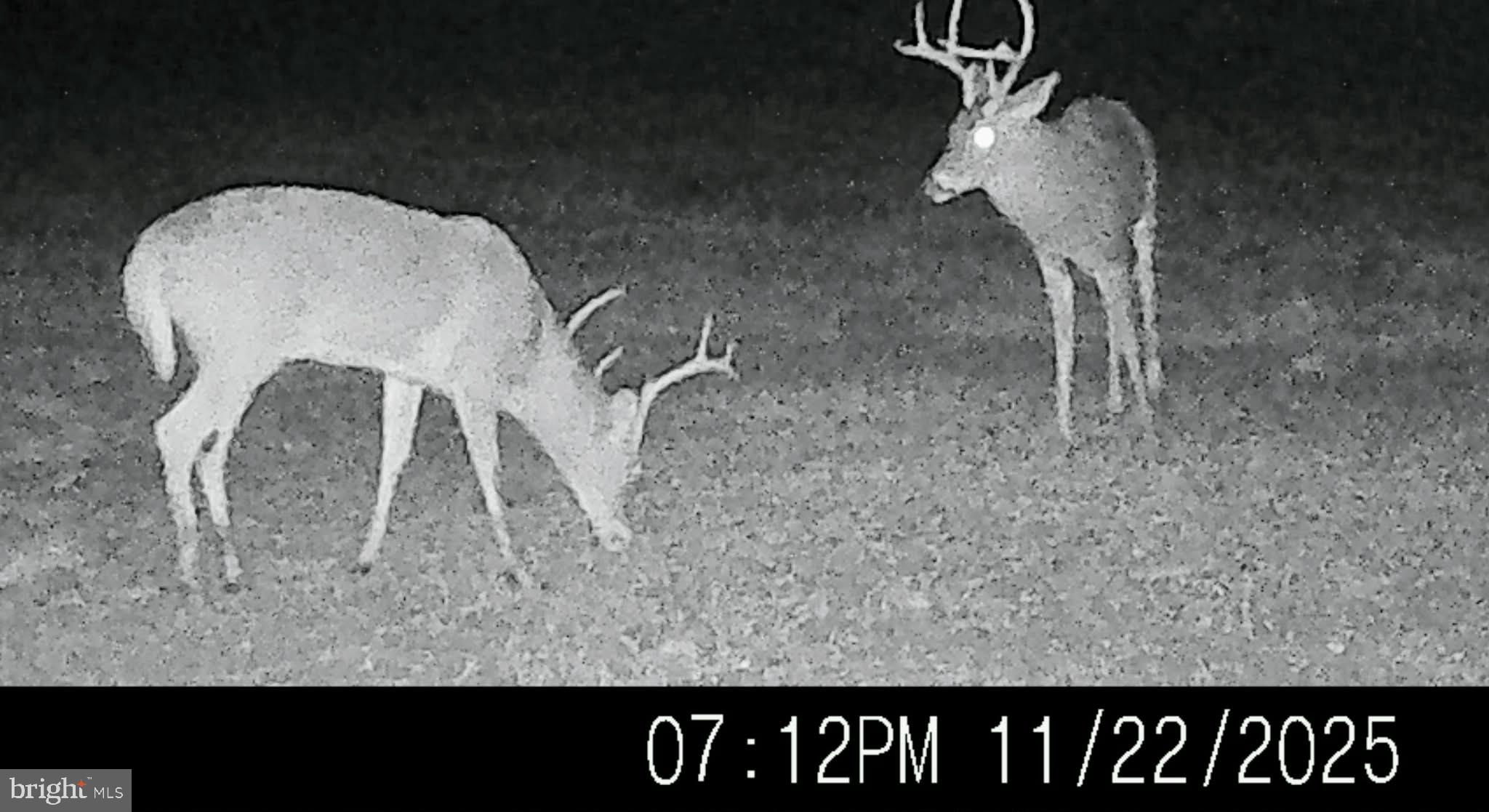 6020 Catchpenny Road Quantico, MD 21856 - Photo 5 of 7