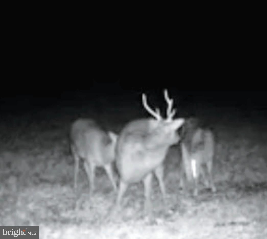 6020 Catchpenny Road Quantico, MD 21856 - Photo 6 of 7 a close up of a lamp