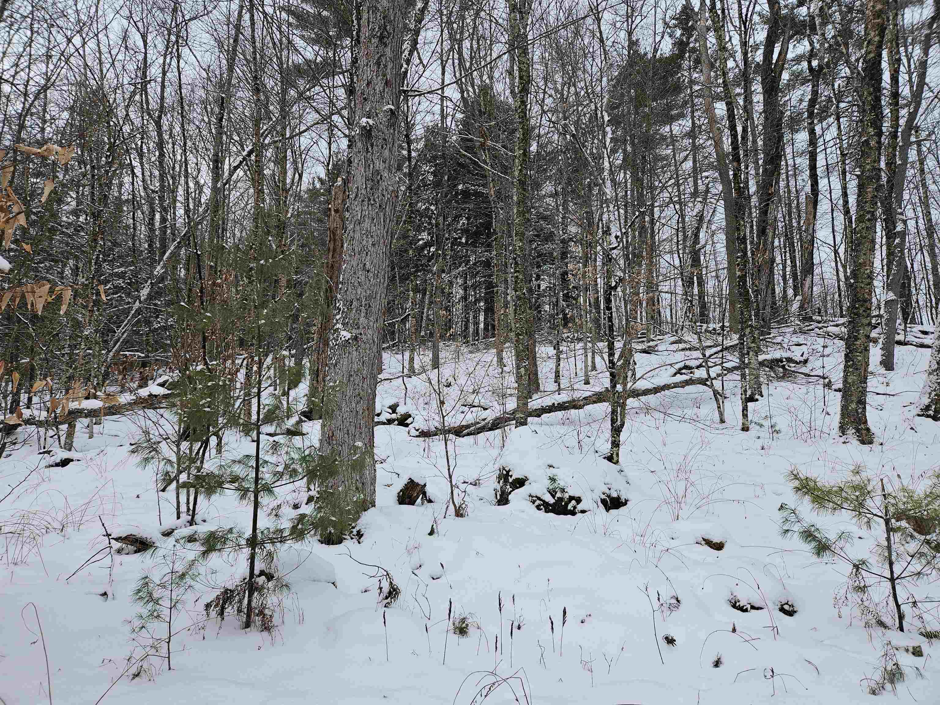 47 Highbridge Road Lyme, NH 03768 - Photo 11 of 43