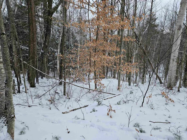 $245,000 | 47 Highbridge Road, Lyme, NH 03768