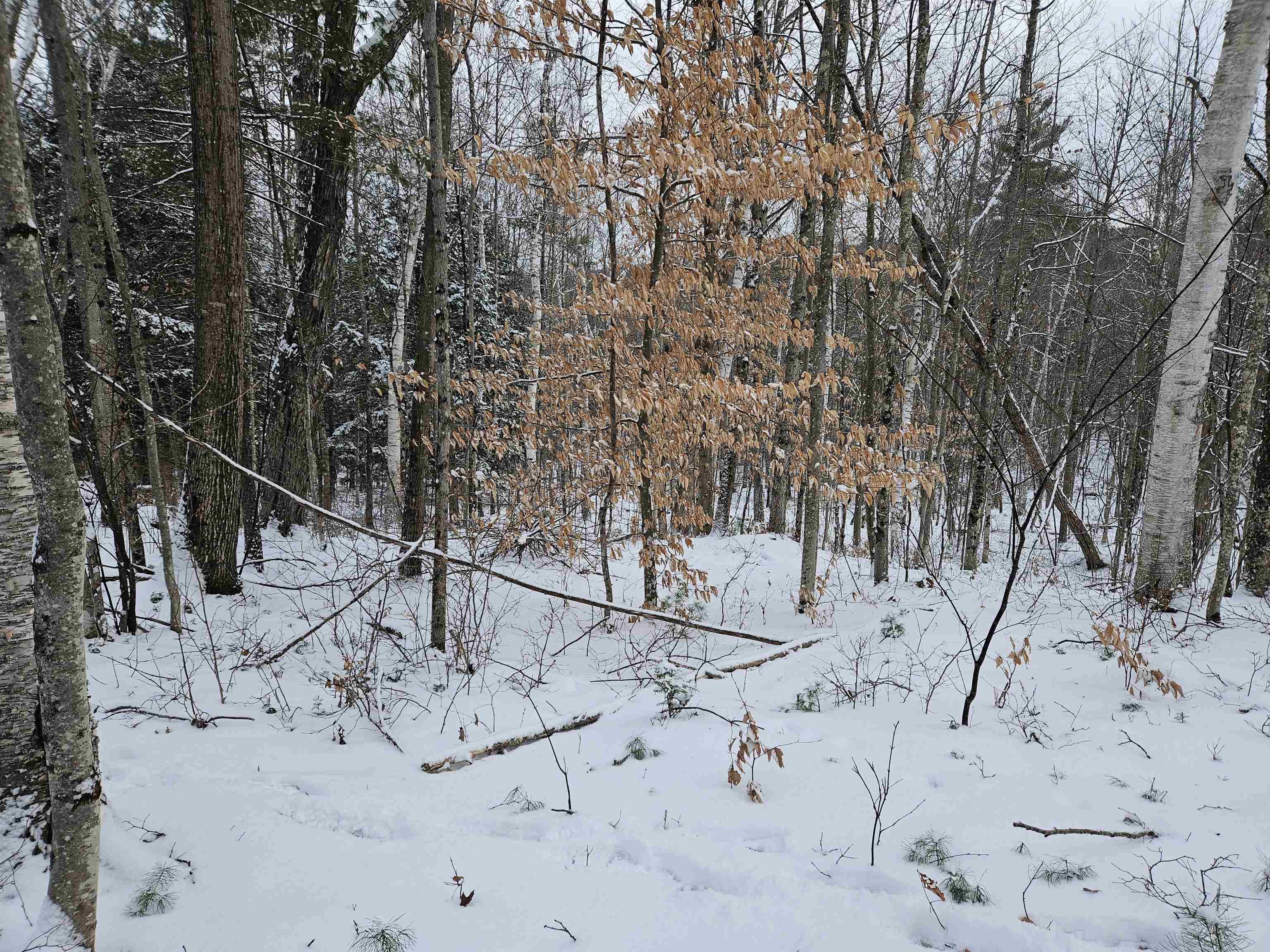 47 Highbridge Road Lyme, NH 03768 - Photo 14 of 43