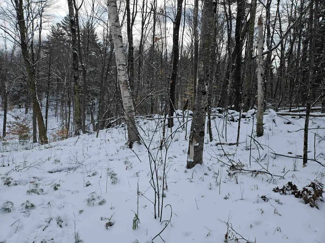 $245,000 | 47 Highbridge Road, Lyme, NH 03768