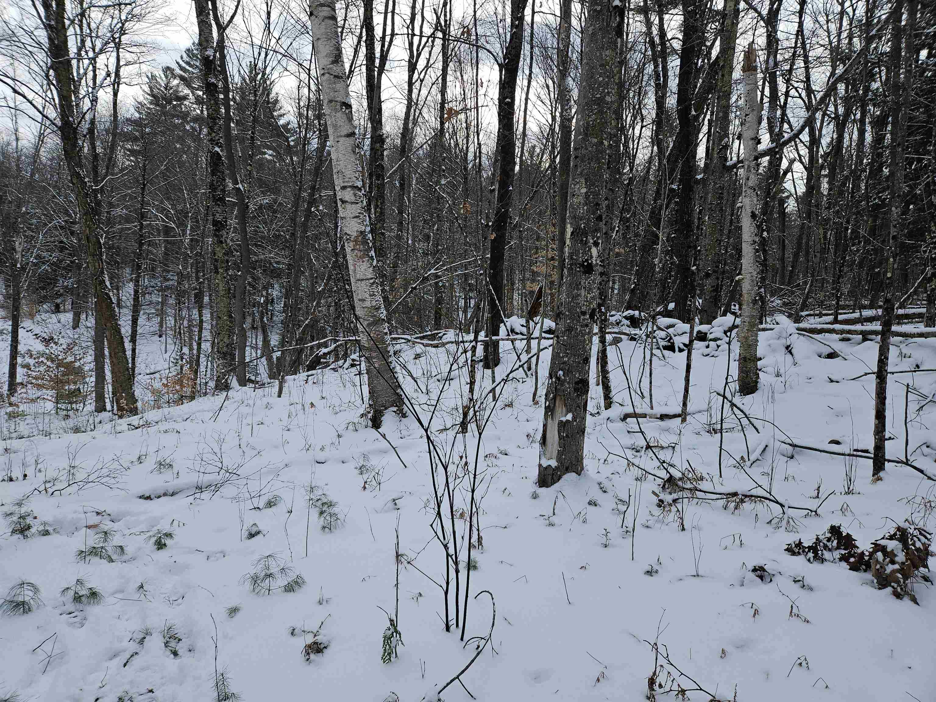 47 Highbridge Road Lyme, NH 03768 - Photo 15 of 43